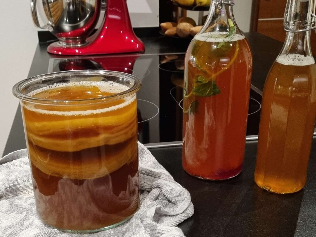 Finished homemade kombucha in glass bottles ready for second fermentation and jar of freshly brewed tea with kombucha scoby inside ready for first fermentation