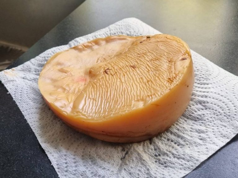 Close up of old kombucha SCOBY showing multiple thick layers grown together over successive fermentation batches