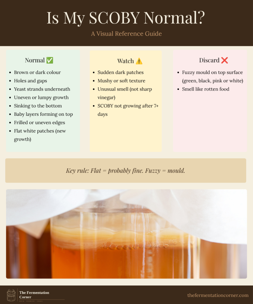 SCOBY reference guide showing three categories — normal healthy SCOBY appearance, signs to watch, and when to discard — with kombucha jar photo