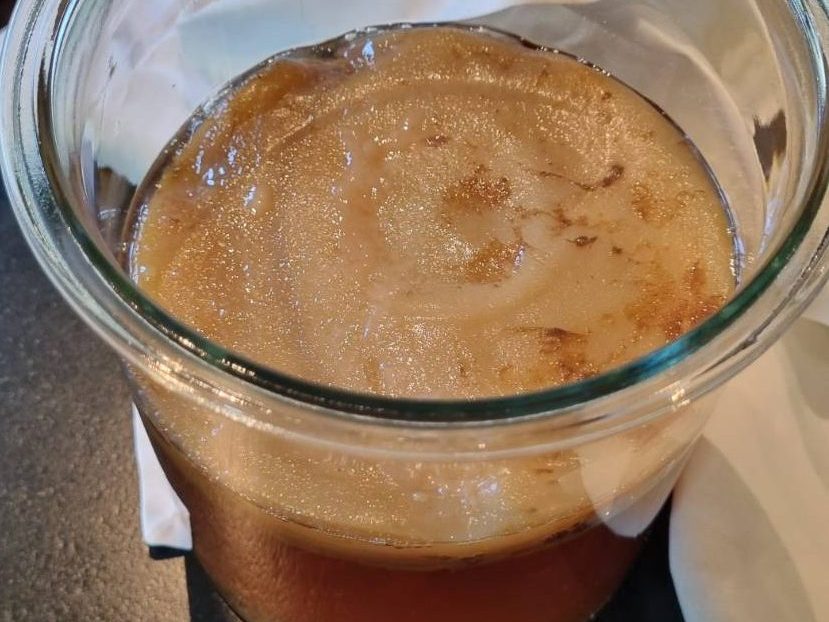 Kombucha SCOBY with yeast strands from above floating on surface of first fermentation in glass jar