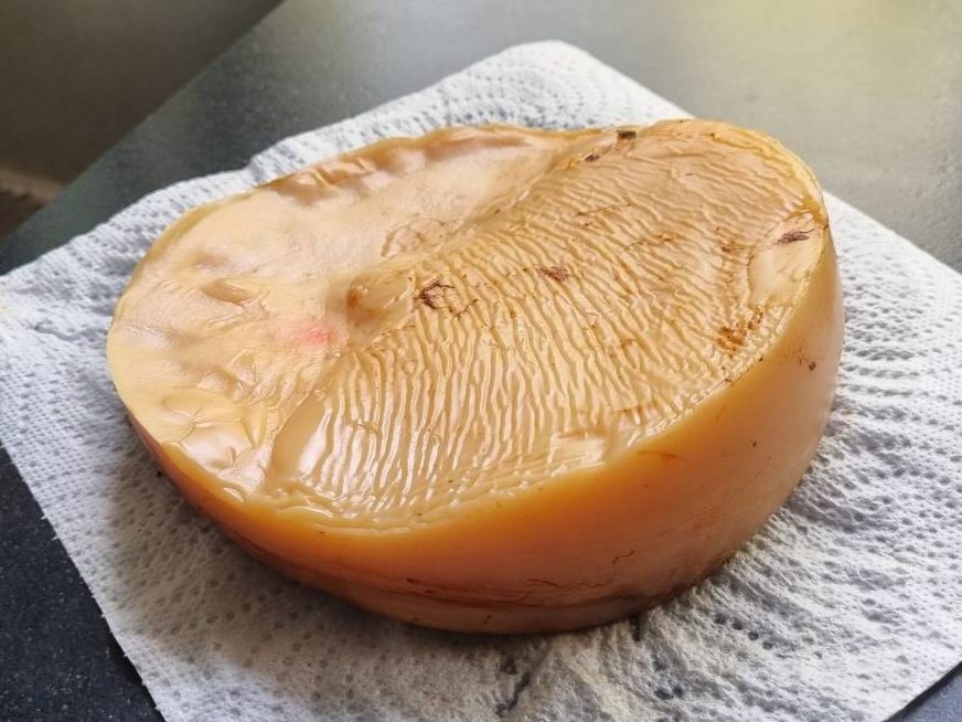 Close up of old kombucha SCOBY showing multiple thick layers grown together over successive fermentation batches