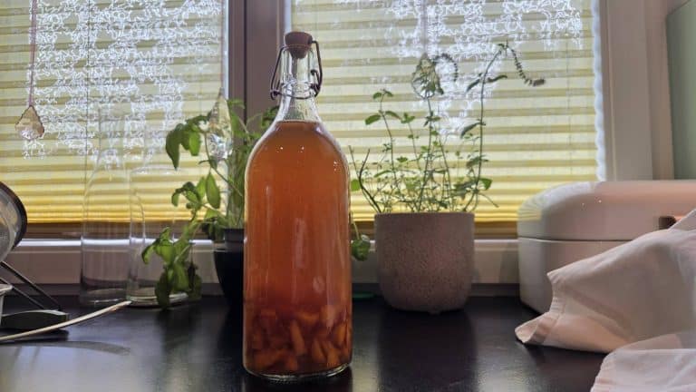 Nectarine Vanilla Kombucha Second Ferment bottled on a black kitchen counter